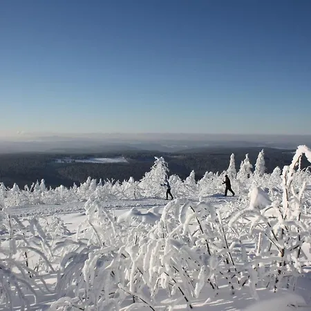 Ferienwohnung-silberglanz